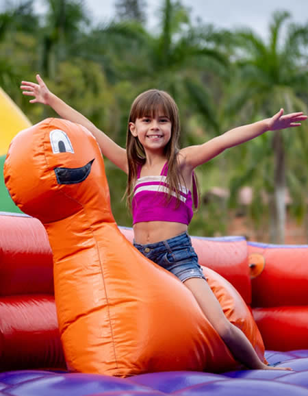 brinquedo inflavel