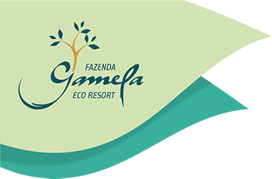 Gamela logo