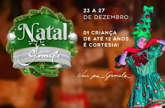 Pacote de Natal